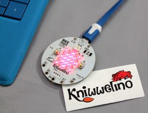 Kniwwelino programming Board. Image courtesy of https://www.kniwwelino.lu